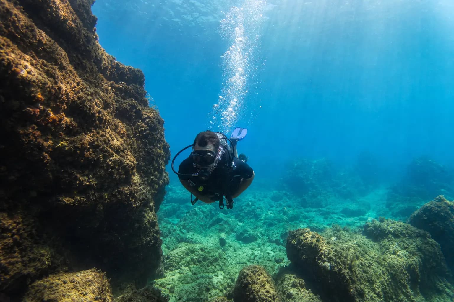 Diving Tour tour photo 3