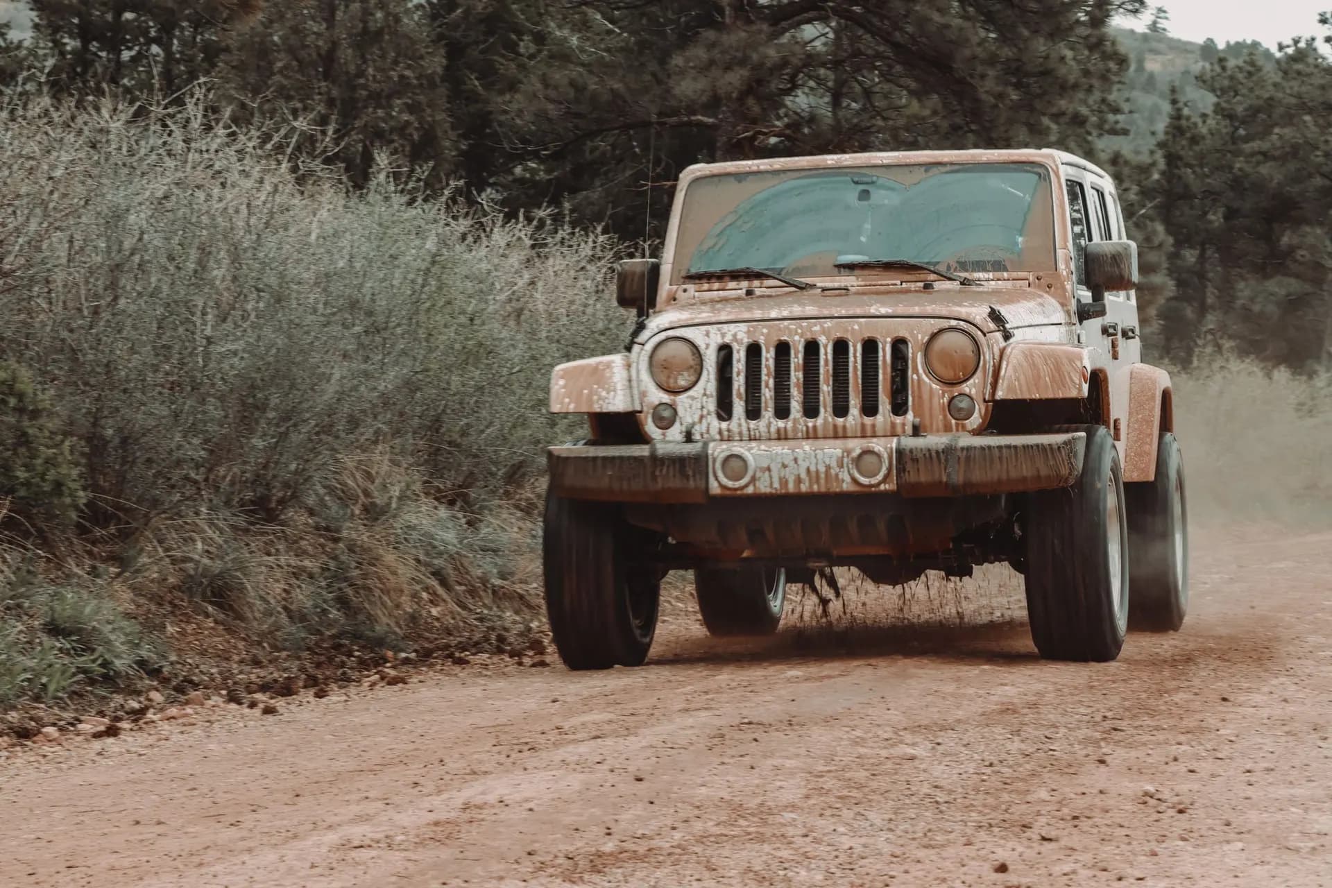 Jeep-Safari & Löwenpark Mix-Tour — Titelbild der Alanya-Tour